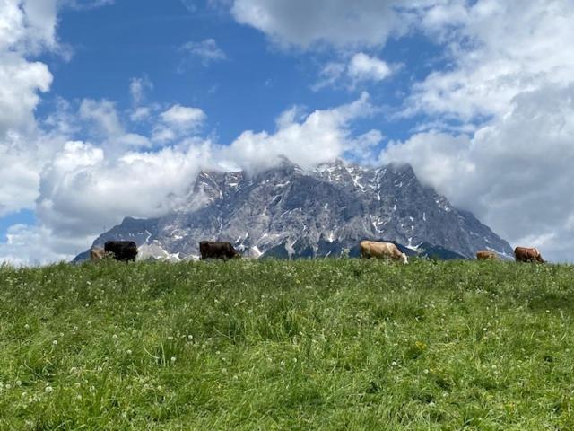 Bergheimat Tirol Apartment Lermoos Bagian luar foto